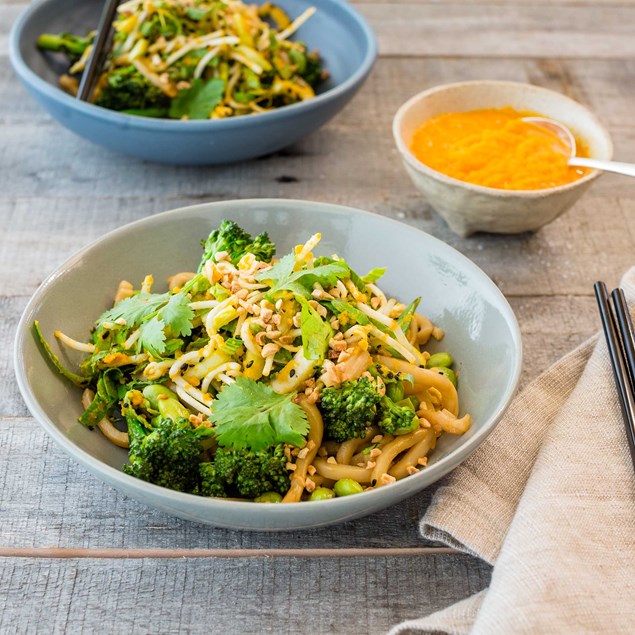 Udon Noodles with Bok Choy Salad and Carrot and Ginger Dressing