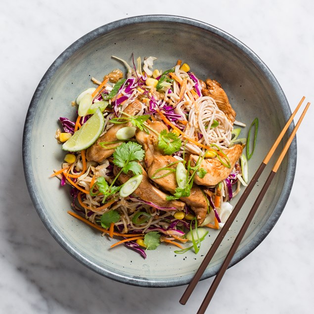 Chicken Soba Noodle Salad with Sesame Dressing and Slaw