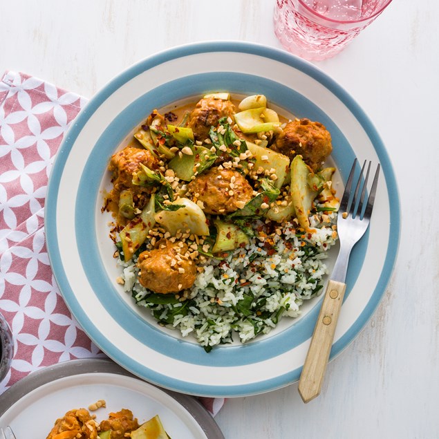 Thai Style Pork Meatballs with Red Curry Sauce and Peanuts