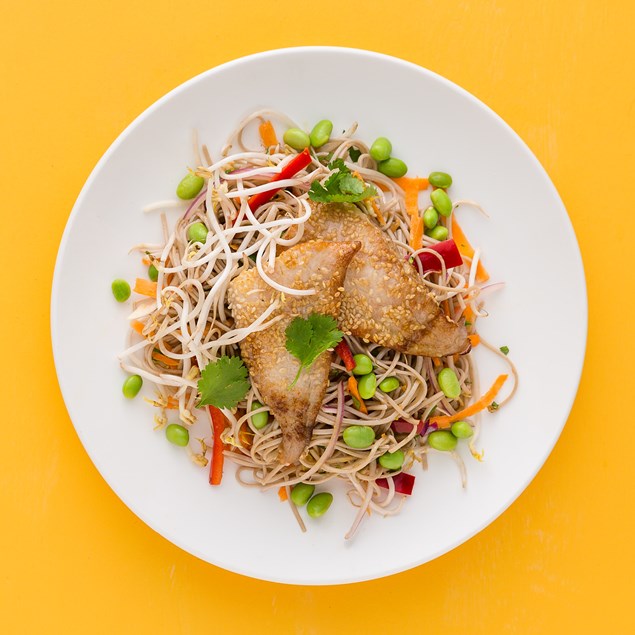 Okinawan Soba Noodle Salad