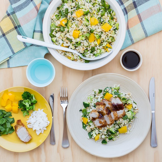 Pork Sirloin Katsu with Asian Rice Salad